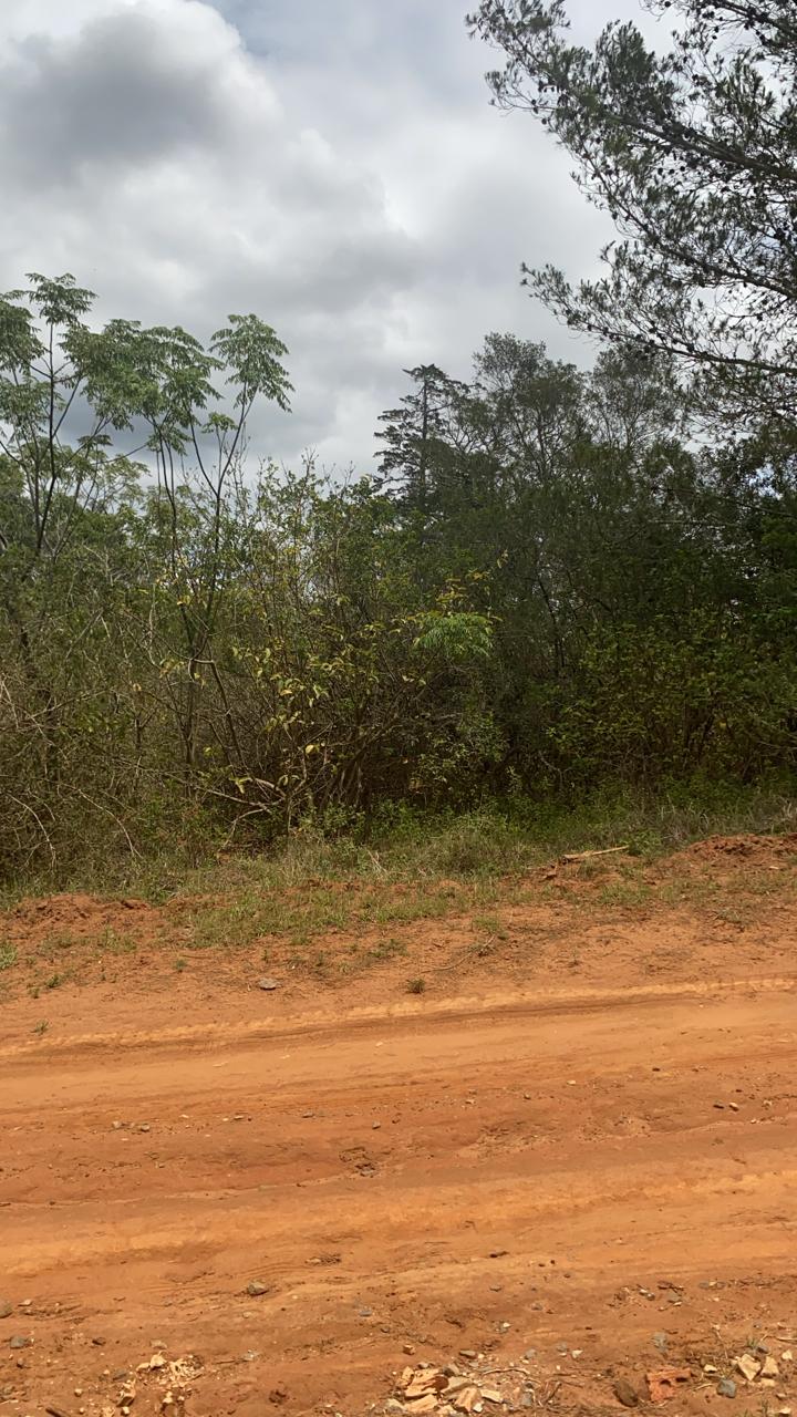 0 Bedroom Property for Sale in Bathurst Eastern Cape